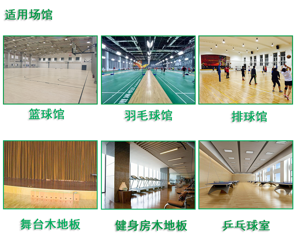 籃球場運動木地板